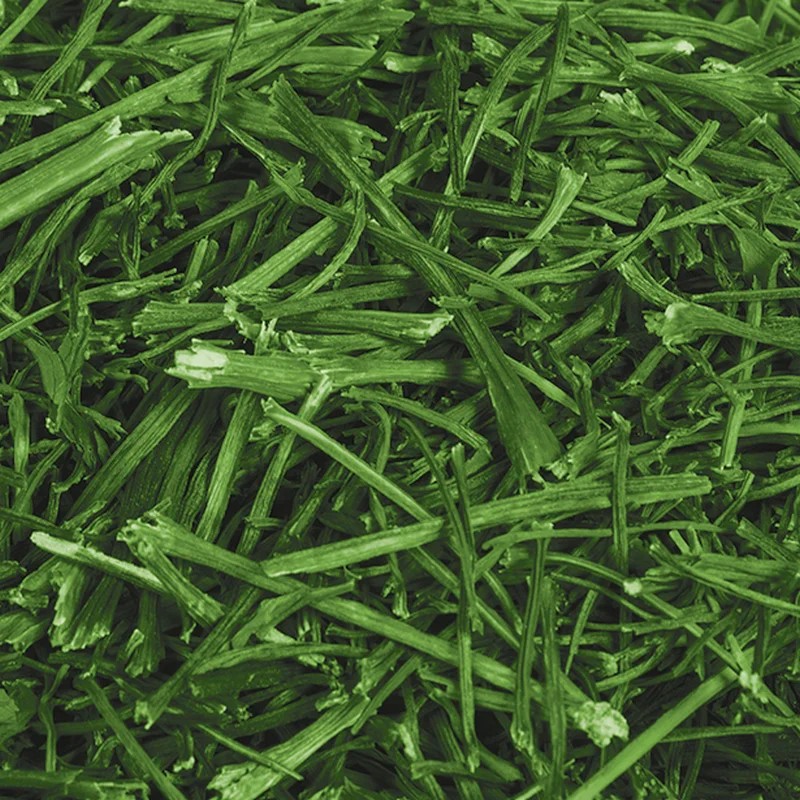 Tiges de persil — Friandises pour octodon