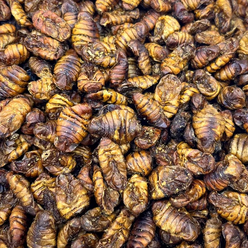 Vers à soie — Friandises pour souris