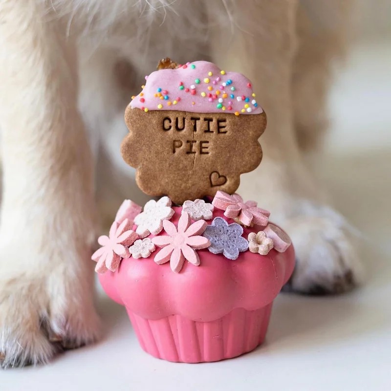 Cupcake — Jouets pour chien, photo 3 sur 4