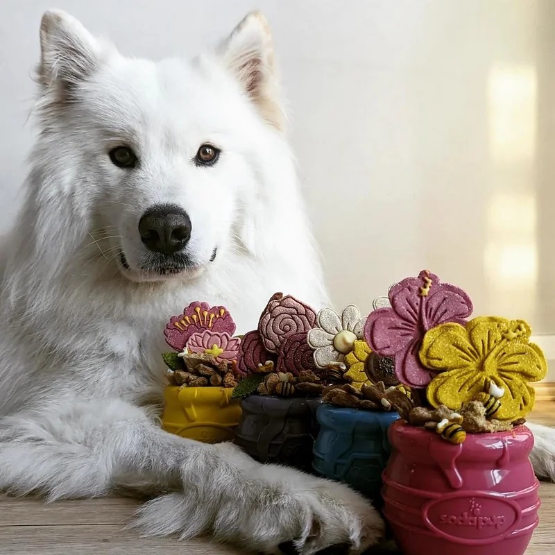 Pot de Miel — Jouets pour chien, photo 2 sur 5