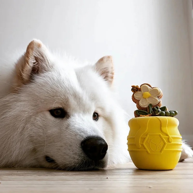 Pot de Miel — Jouets pour chien, photo 3 sur 5
