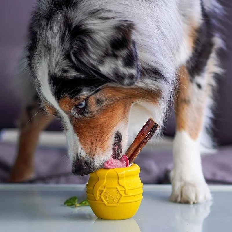 Pot de Miel — Jouets pour chien, photo 4 sur 5