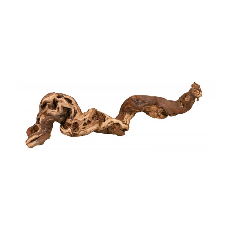 Pied de vigne — Accessoires pour hamster, photo 1 sur 2