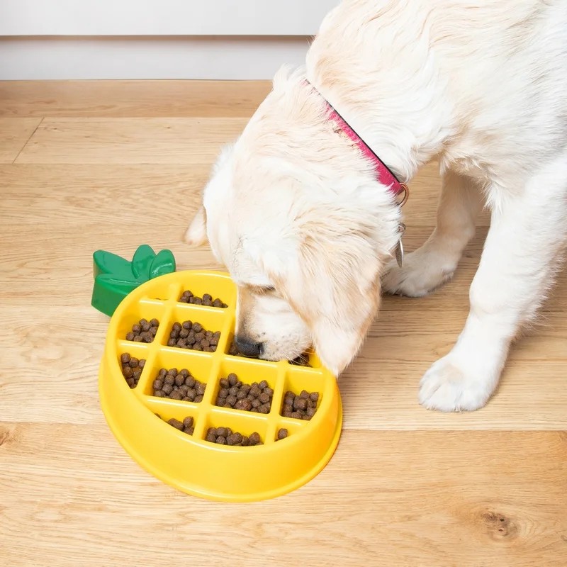 Gamelle Ananas — Jouets interactifs pour chien, photo 2 sur 2