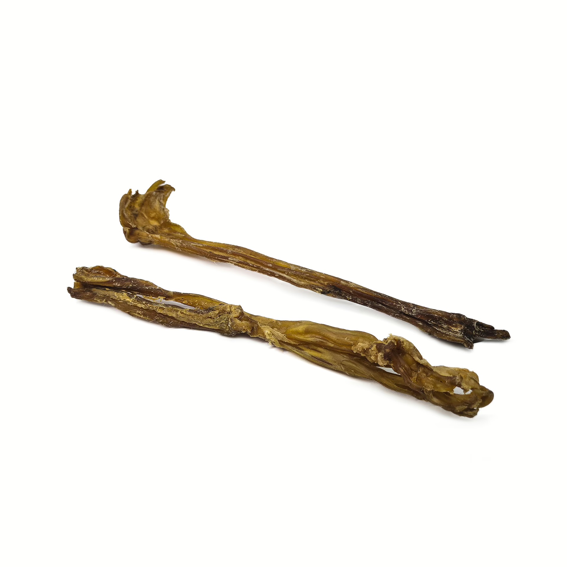 Tendon d'Achille de buffle — Mastication pour chien