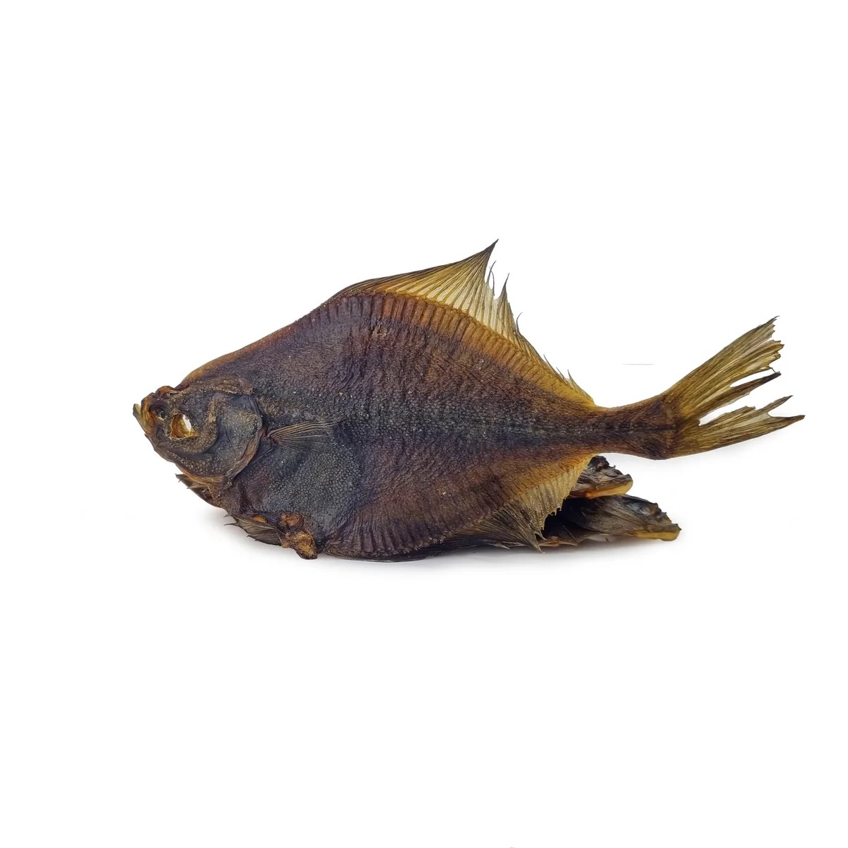 Carrelet — Mastication pour chien