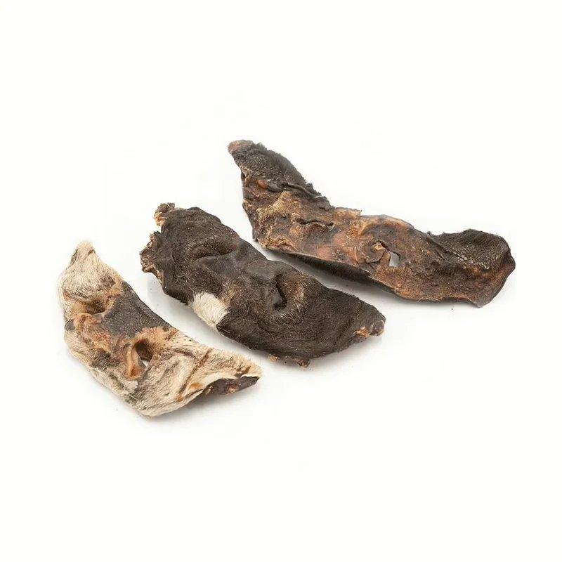 Museau de bœuf avec poils