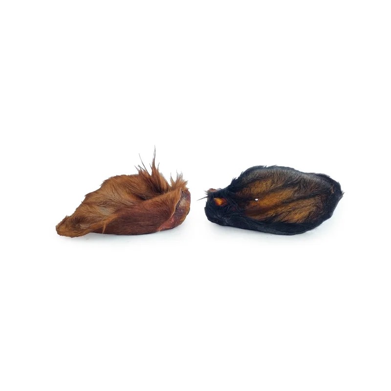 Oreilles de bœuf avec poils — Mastication pour chien