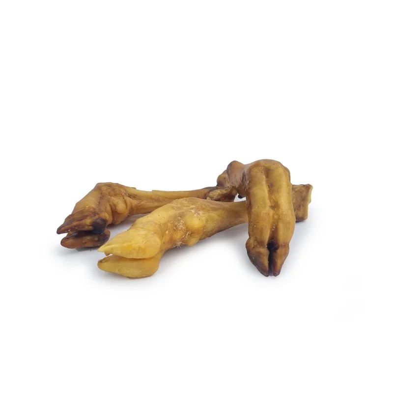 Pieds d'agneau — Mastication pour chien