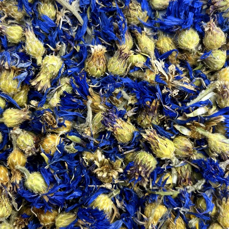 Fleurs de bleuets — Friandises pour gerbille