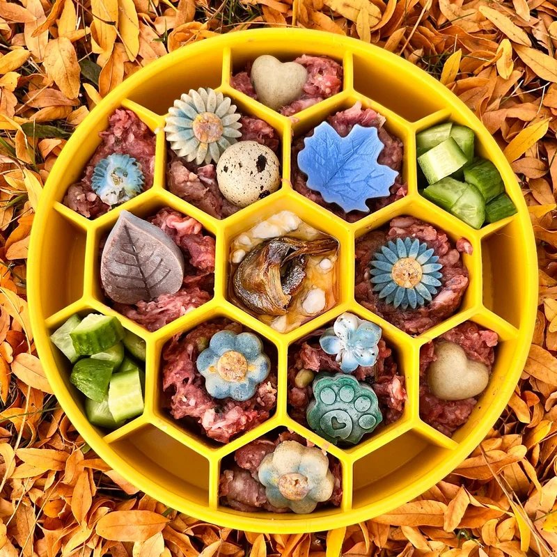 Gamelle d'enrichissement eBowl Ruche — Enrichissement pour chien, photo 2 sur 4