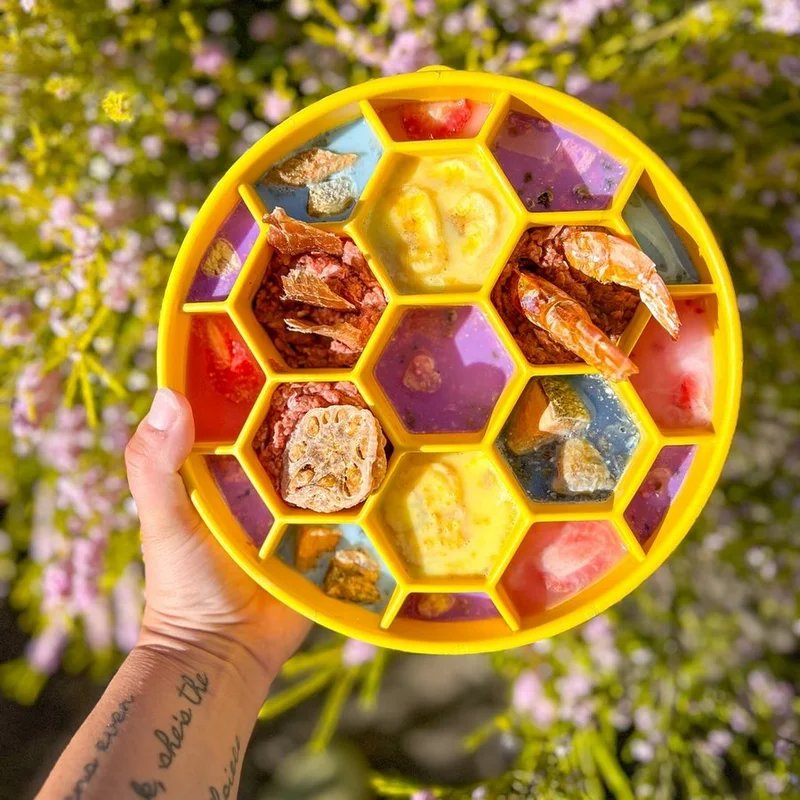 Gamelle d'enrichissement eBowl Ruche — Enrichissement pour chien, photo 4 sur 4