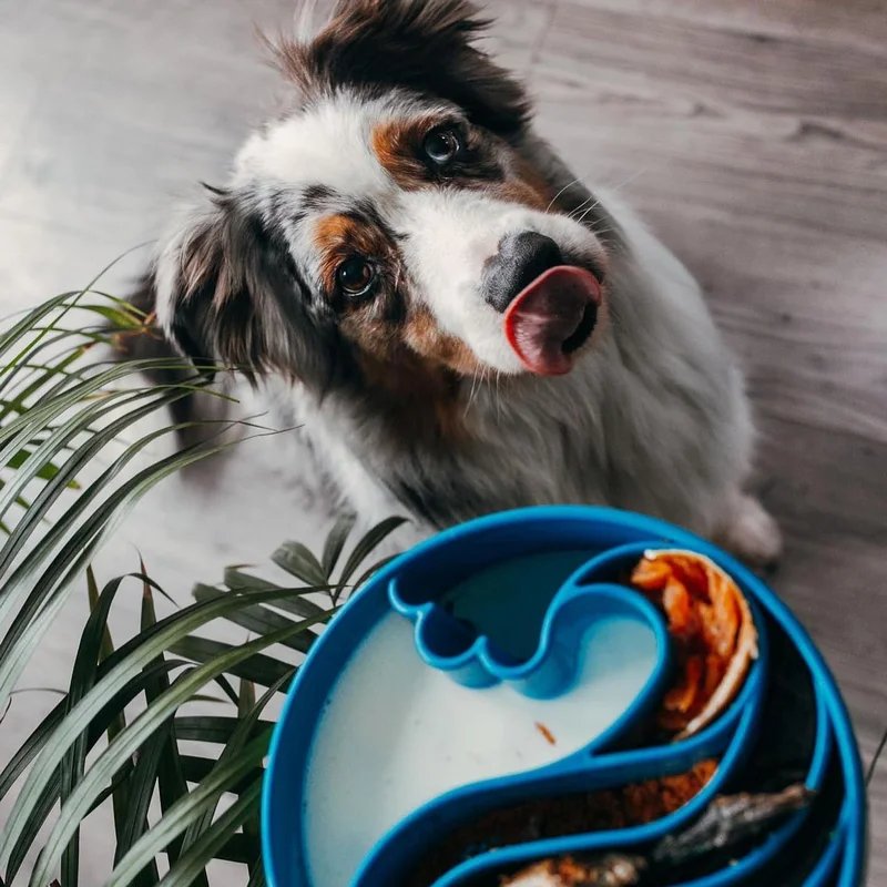 Gamelle d'enrichissement eBowl Vague — Enrichissement pour chien, photo 2 sur 3