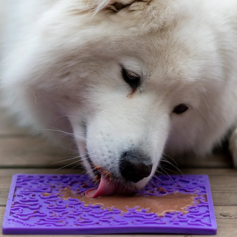 Tapis à lécher eMat Bones — Enrichissement pour chien, photo 3 sur 4