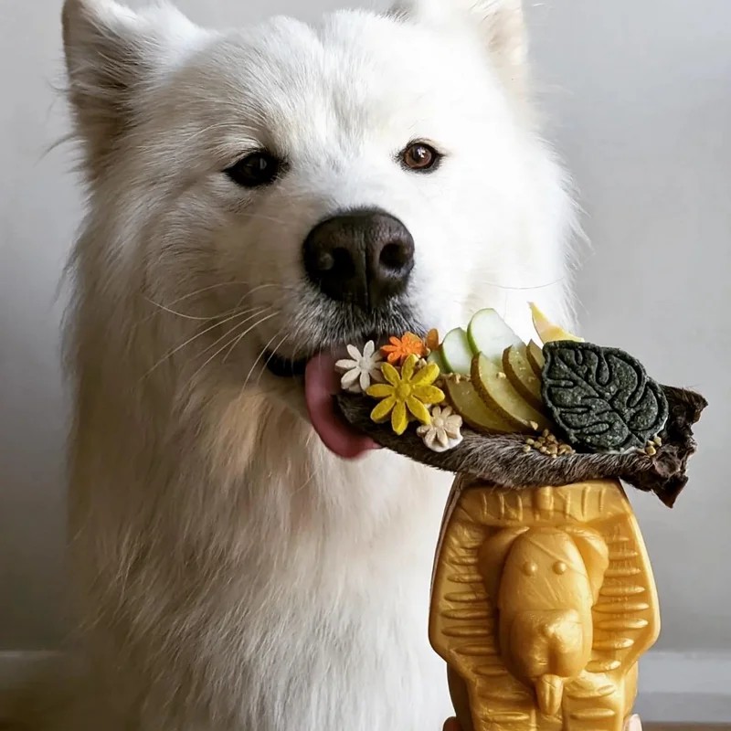 Pharaon — Jouets pour chien, photo 2 sur 4
