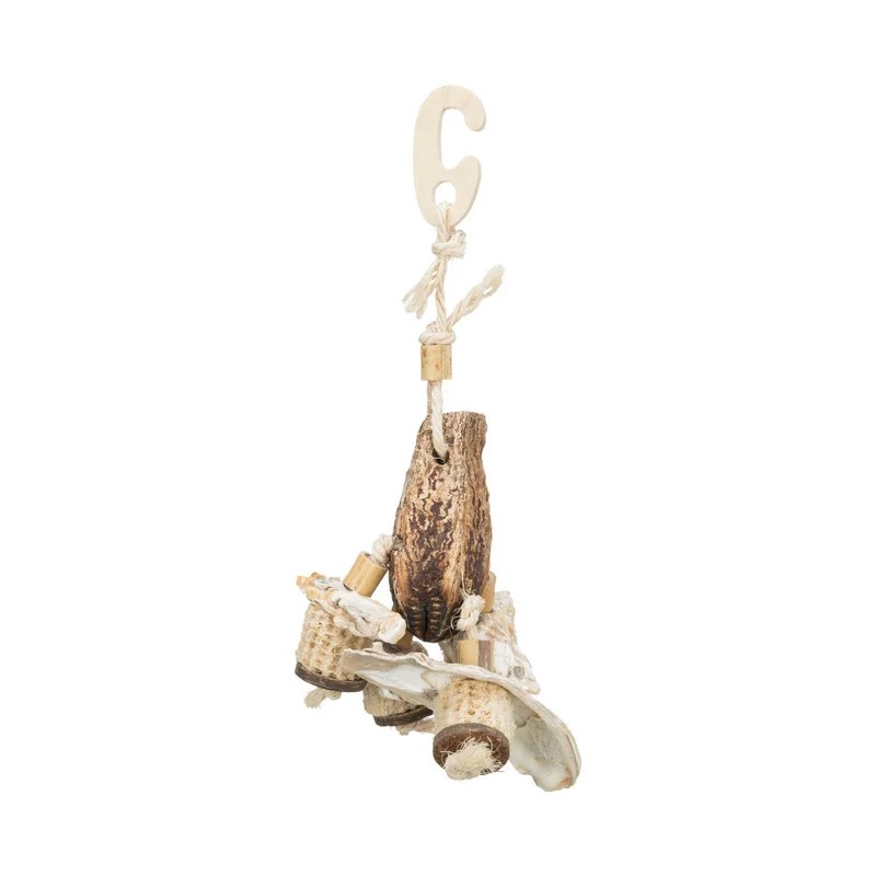 Jouet noix d'acajou et coquillages — Jouets pour rat