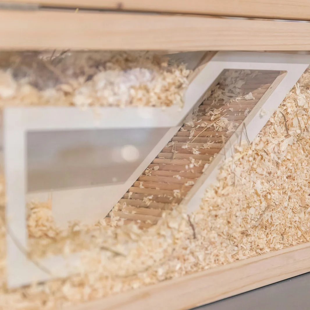 Rampe d'observation, Friandise naturelle pour rongeur et lapin — Friandises pour rat, photo 3 sur 4