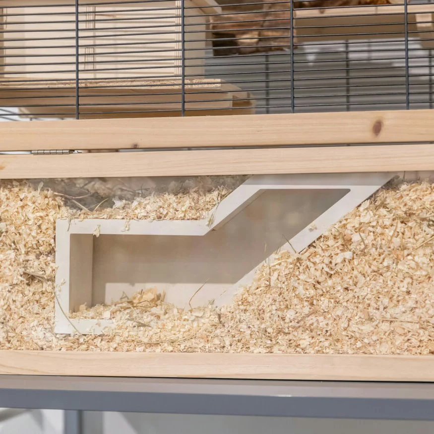 Rampe d'observation, Friandise naturelle pour rongeur et lapin — Friandises pour rat, photo 4 sur 4