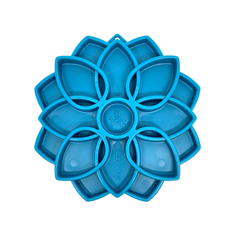 Sodapup | Sodapup | eTray Mandala