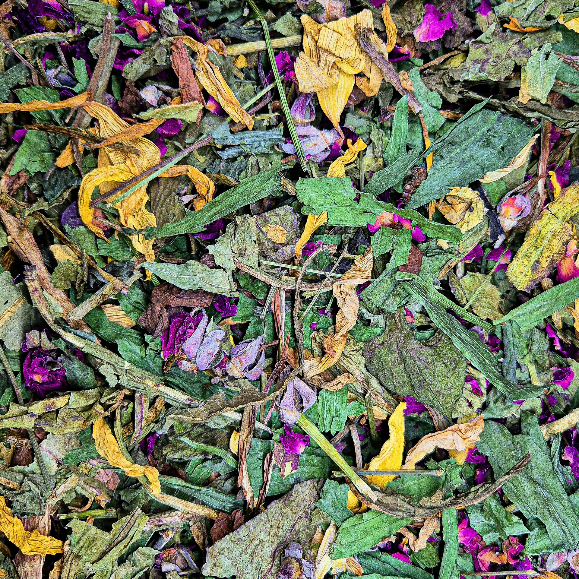 Mélange Golden Meadow — Friandises pour gerbille, photo 2 sur 2
