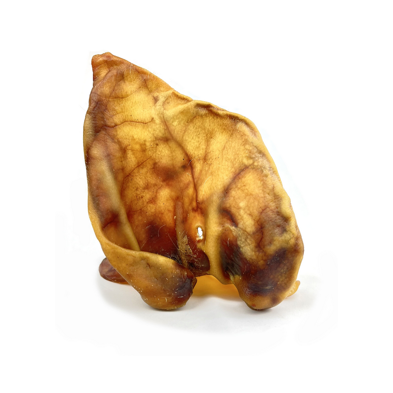 Apalache | Apalache | Oreilles de porc XXXL