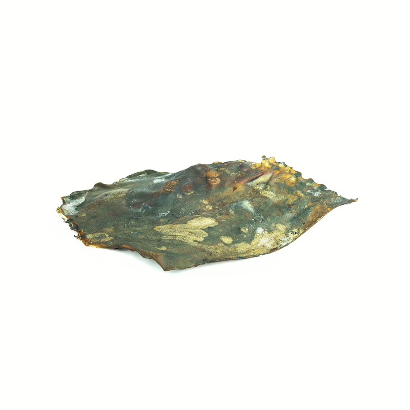 Plaque de cerf — Mastication pour chien, photo 2 sur 2