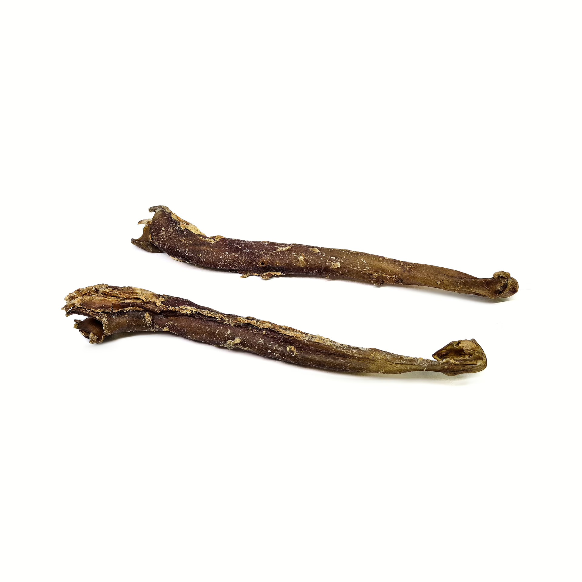 Aorte de buffle — Mastication pour chien