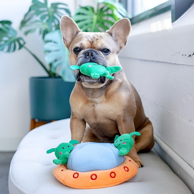 ZippyPaws | Burrow OVNI – Image 2