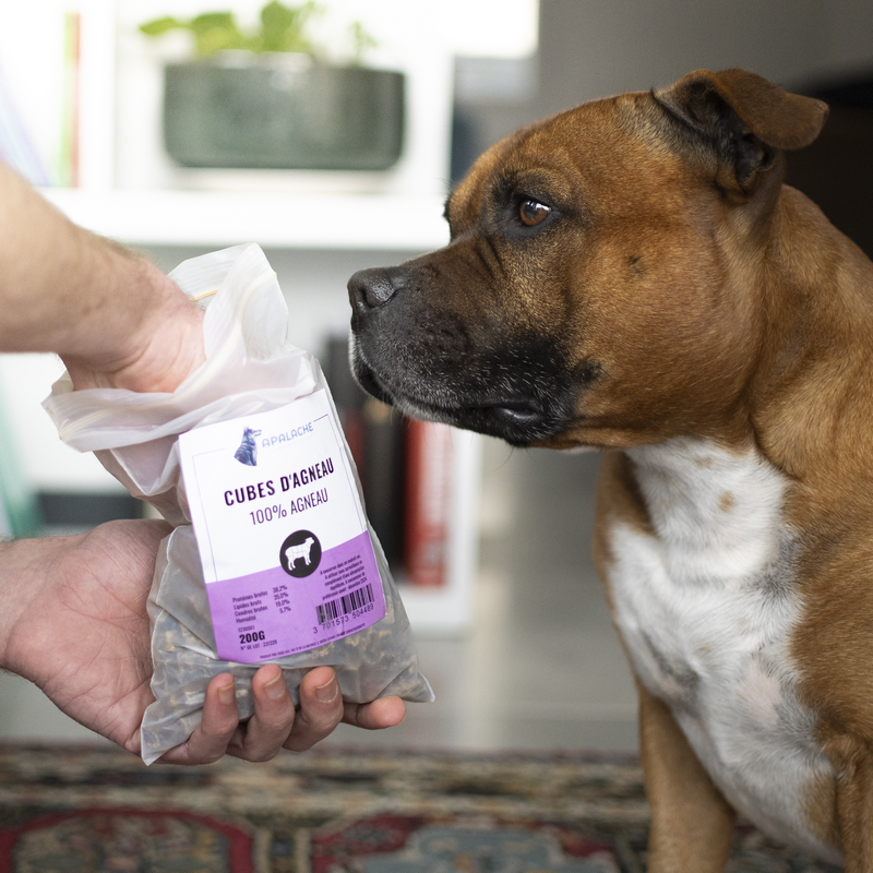 Apalache | Cubes d'agneau – Image 2