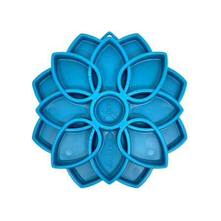 Sodapup | eTray Mandala