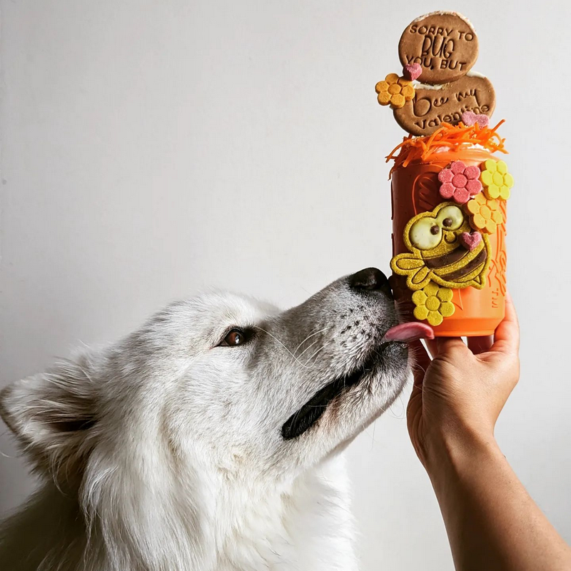 Sodapup | Canette – Image 2