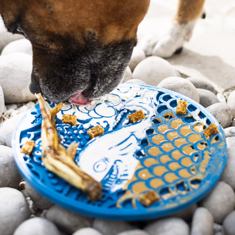 Sodapup | eMat Baleine – Image 2