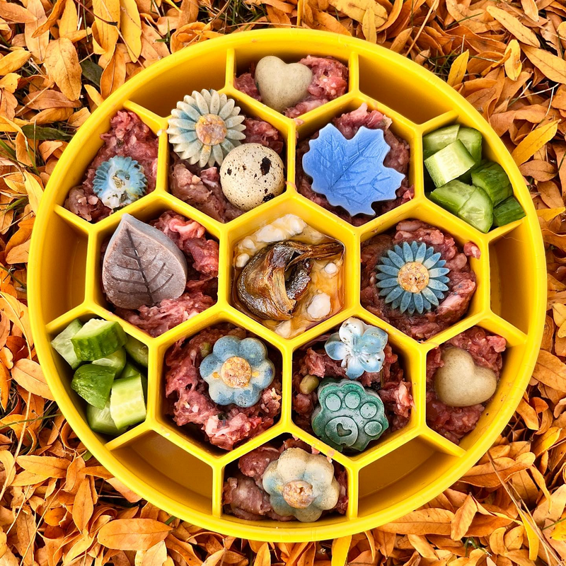 Sodapup | eBowl Ruche – Image 2