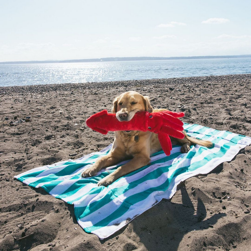 ZippyPaws | Peluche calamar – Image 2