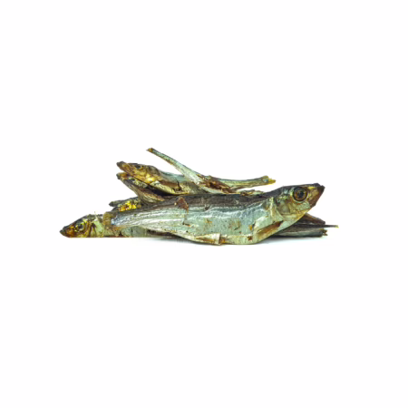 Apalache | Sprats de la Baltique