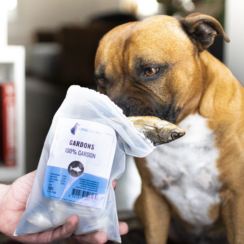 Apalache | Gardons – Image 2