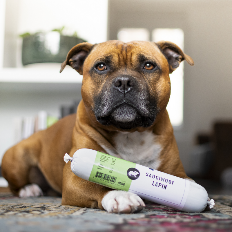 Apalache | SauciWoof – Image 2