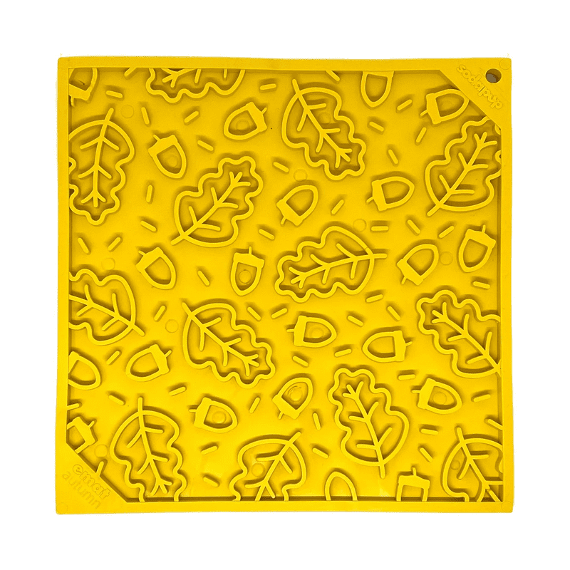 Sodapup | eMat Automne