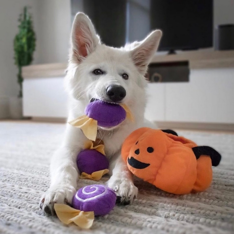 ZippyPaws | Burrow Trick or Treat – Image 2