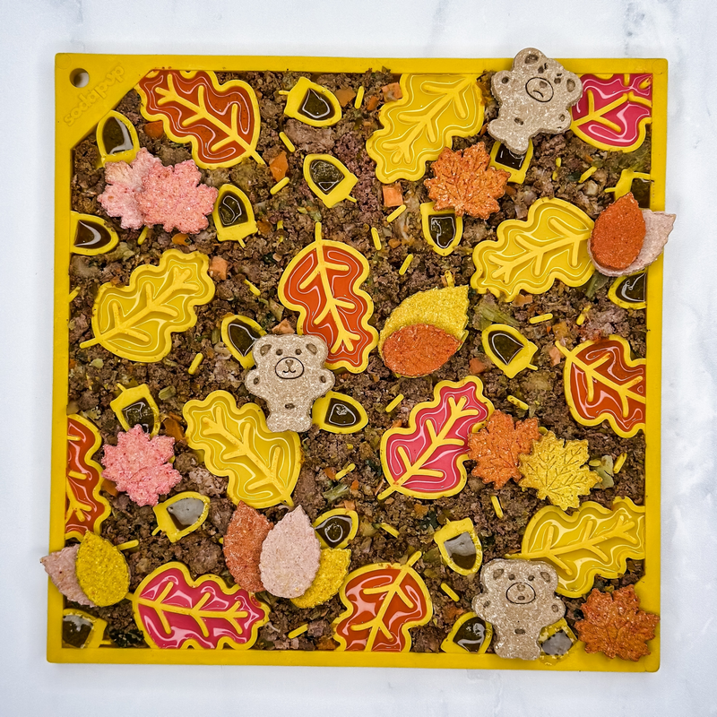 Sodapup | eMat Automne – Image 2