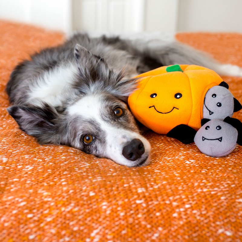 ZippyPaws | Burrow Trick or Treat – Image 3