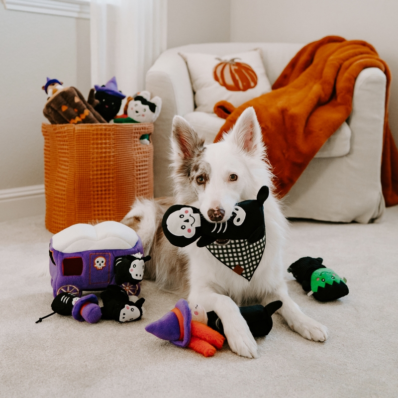 ZippyPaws | Burrow Carrosse – Image 2