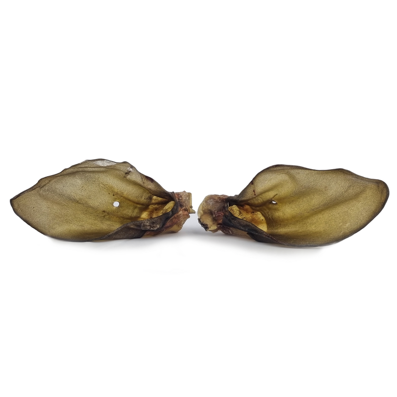 Apalache | Oreilles de bœuf