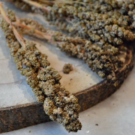 Nacture | Épis de quinoa