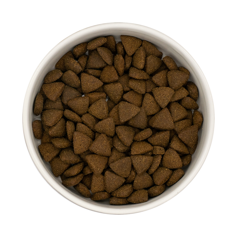 Apalache | Croquettes GF Adulte Saumon d'Ecosse – Image 2