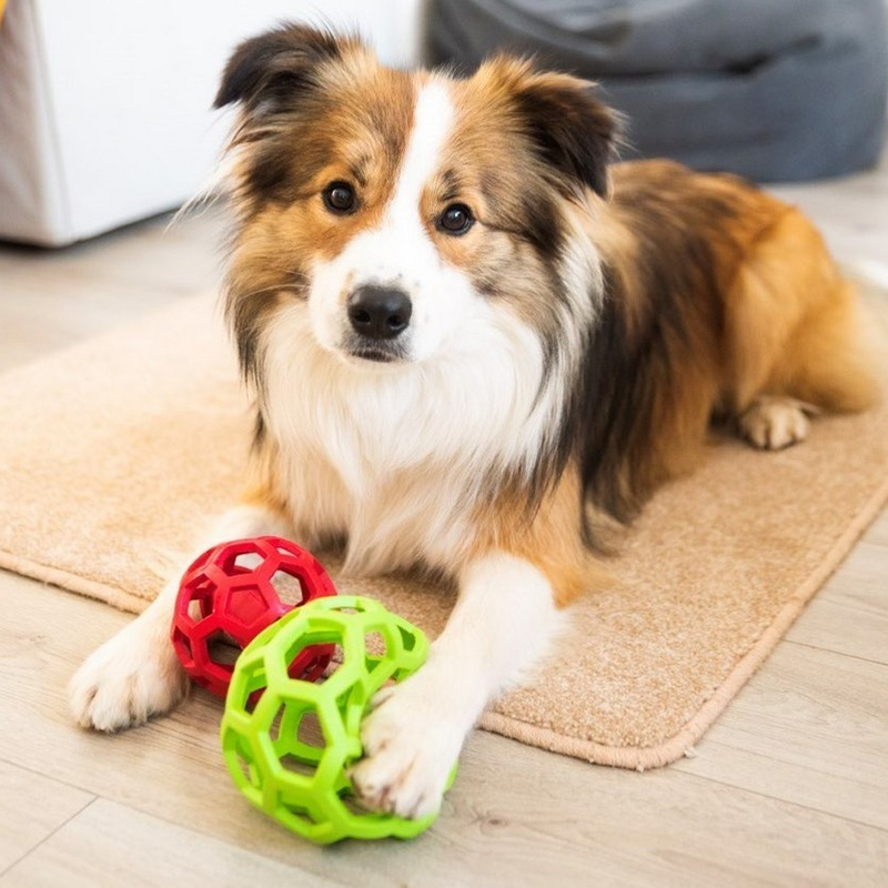 JW | Balle Roller HOLL-EE – Image 2