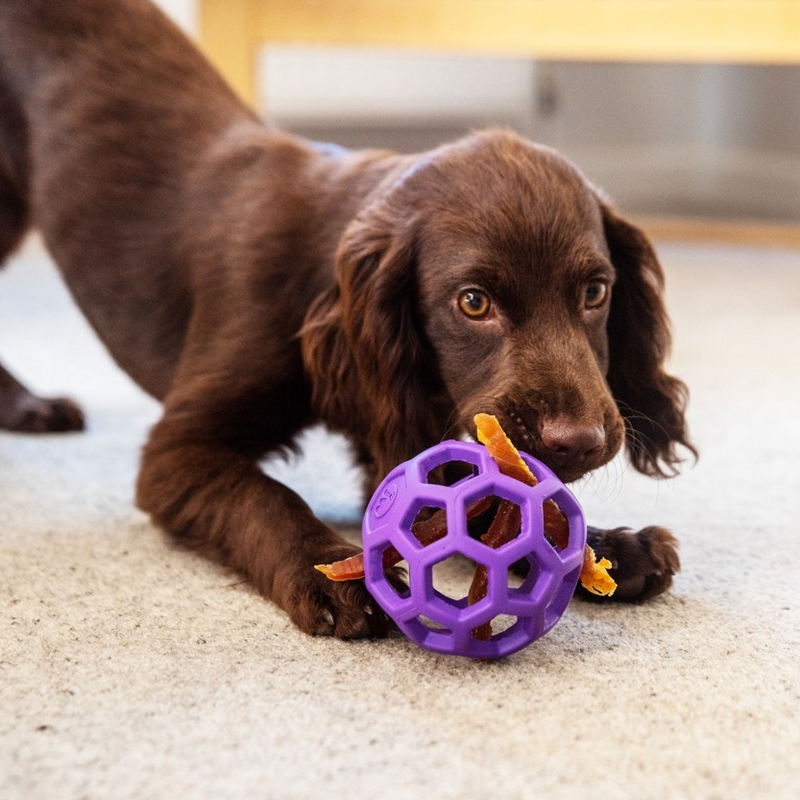 JW | Balle Roller HOLL-EE – Image 7