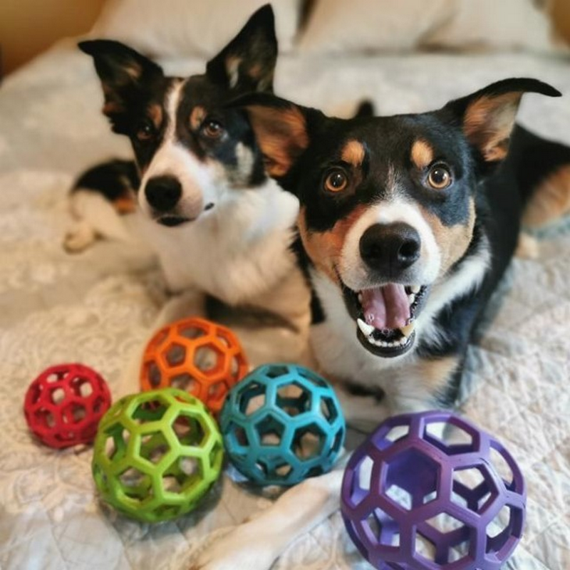 JW | Balle Roller HOLL-EE – Image 3