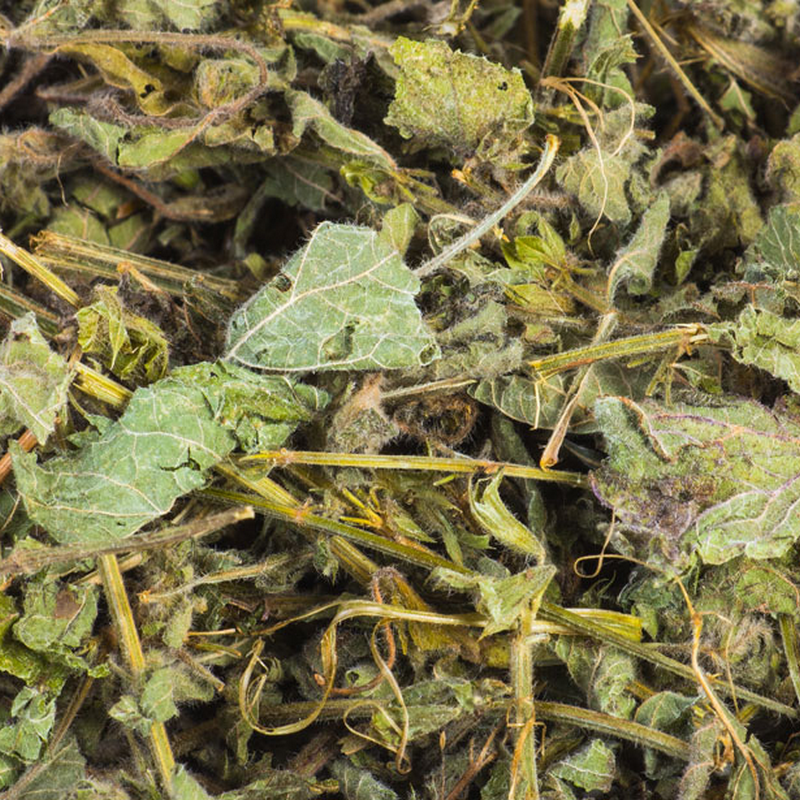 Nacture | Feuilles de menthe poivrée