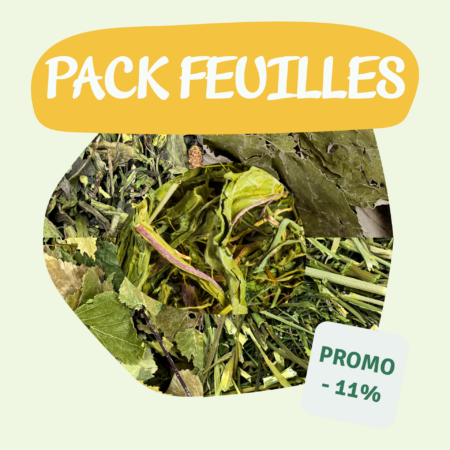 Nacture | Pack Feuilles